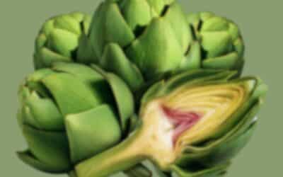 What Artichokes Can Show Us About Personal Transformation